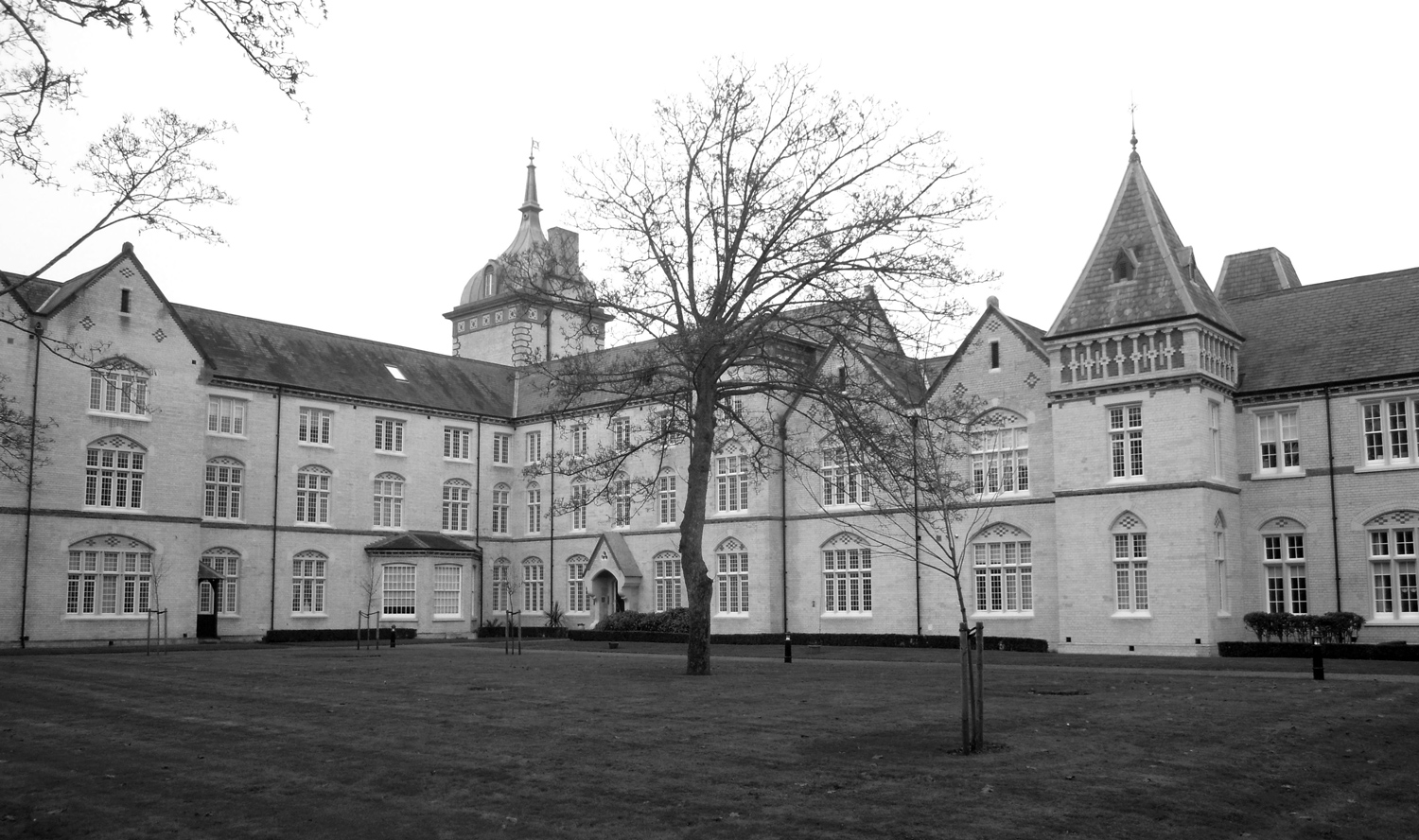 Addressing the shortfall in mental health capacity