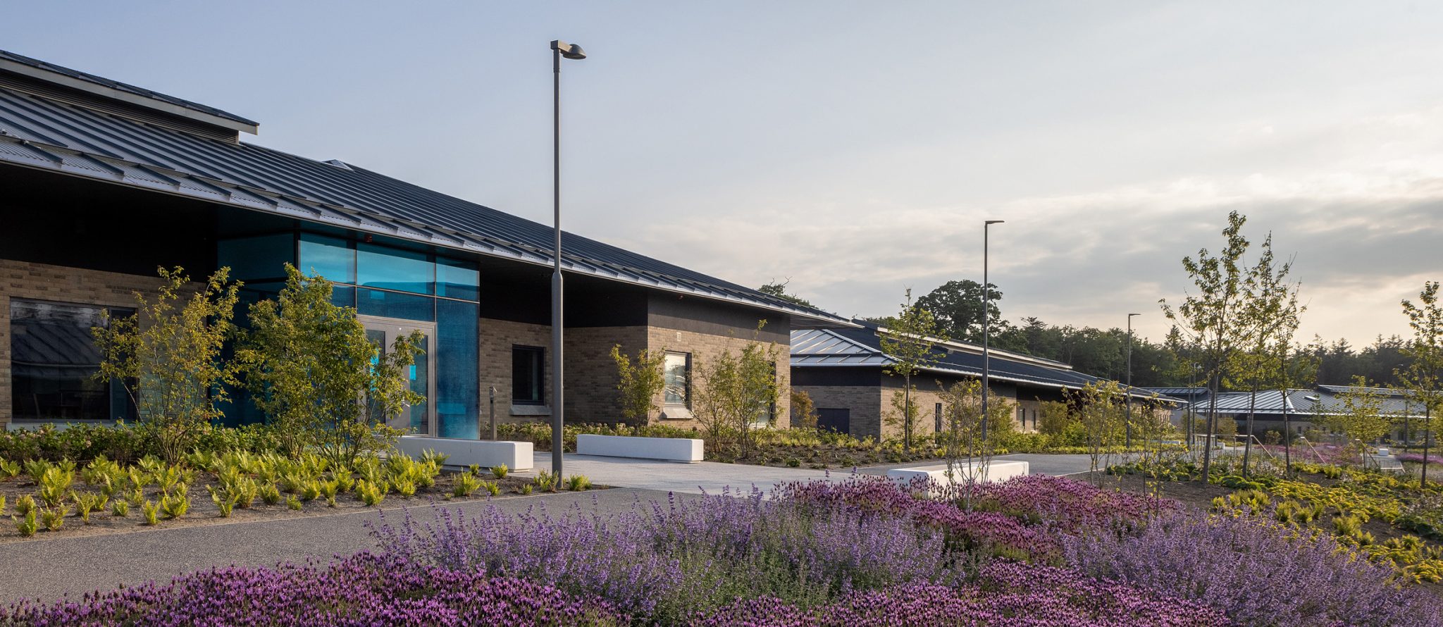 Medical Architecture — National Forensic Mental Health Service Hospital