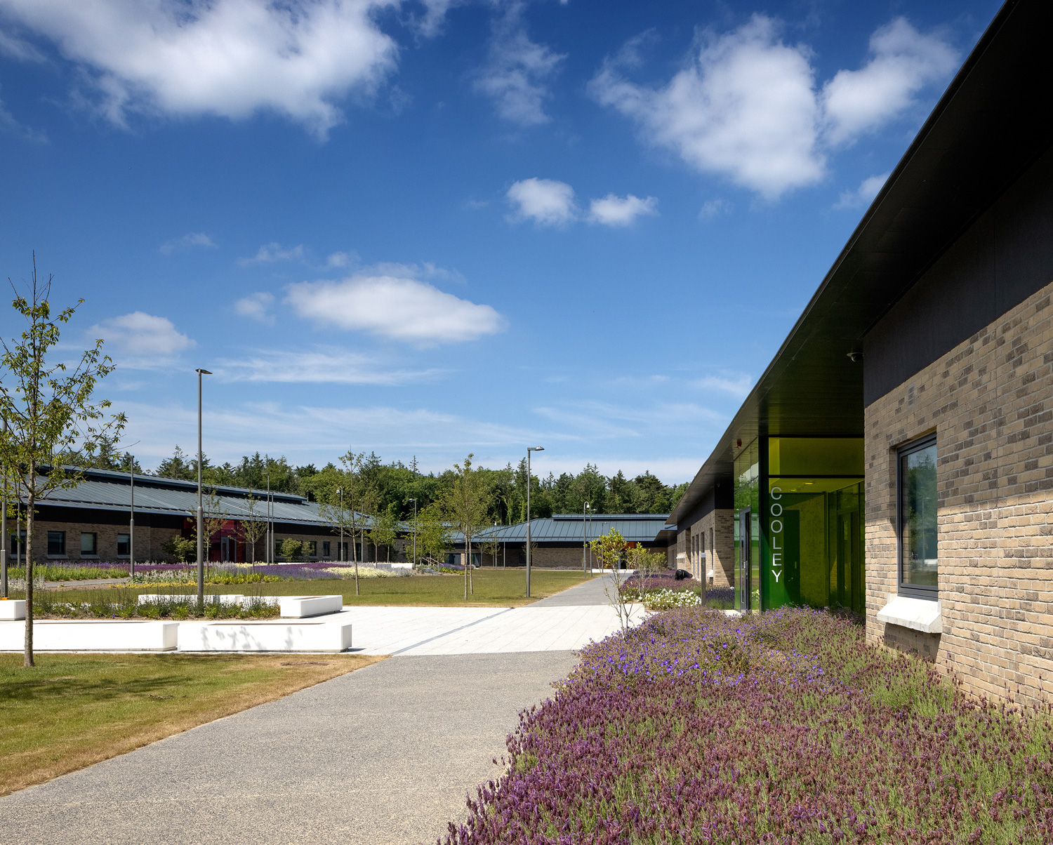 National Forensic Mental Health Service Hospital Medical Architecture