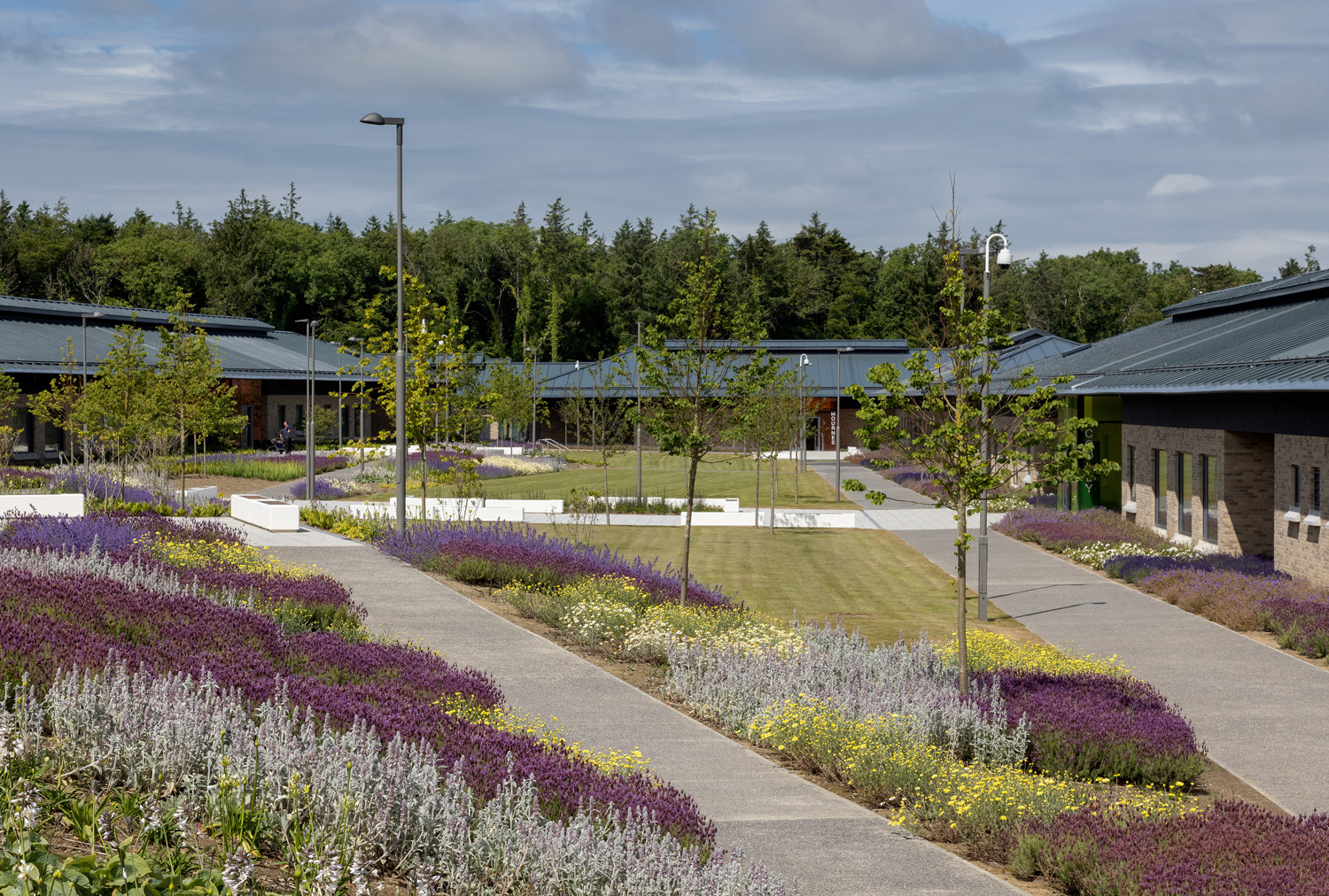 A trio of accolades at the Design in Mental Health Awards