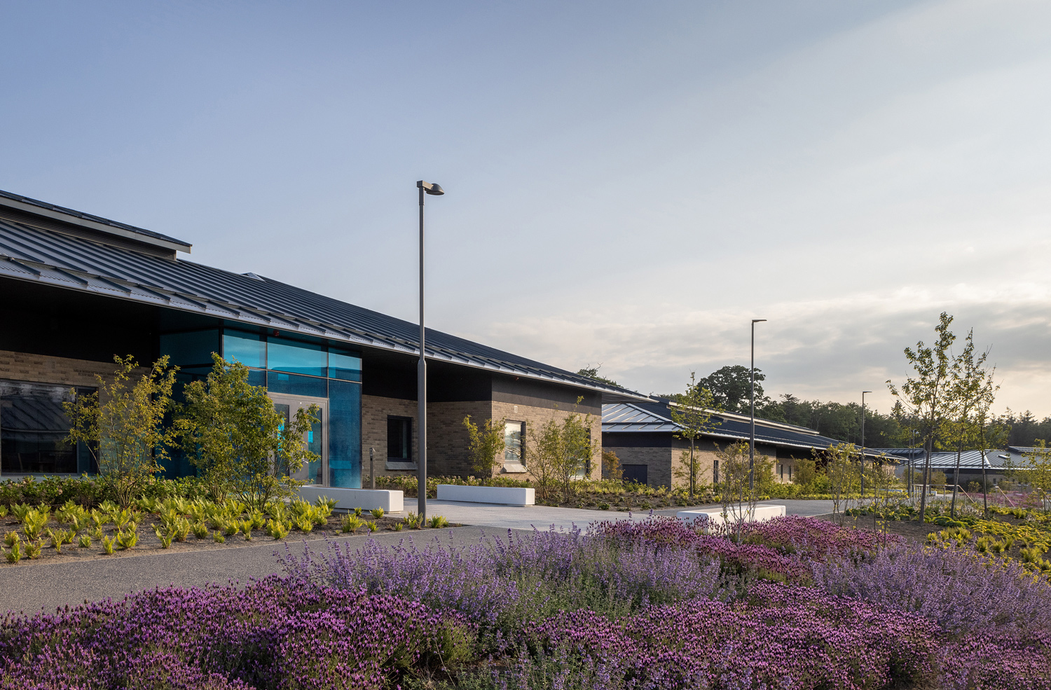 A trio of accolades at the Design in Mental Health Awards